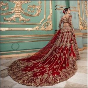 Long Red Train Gown