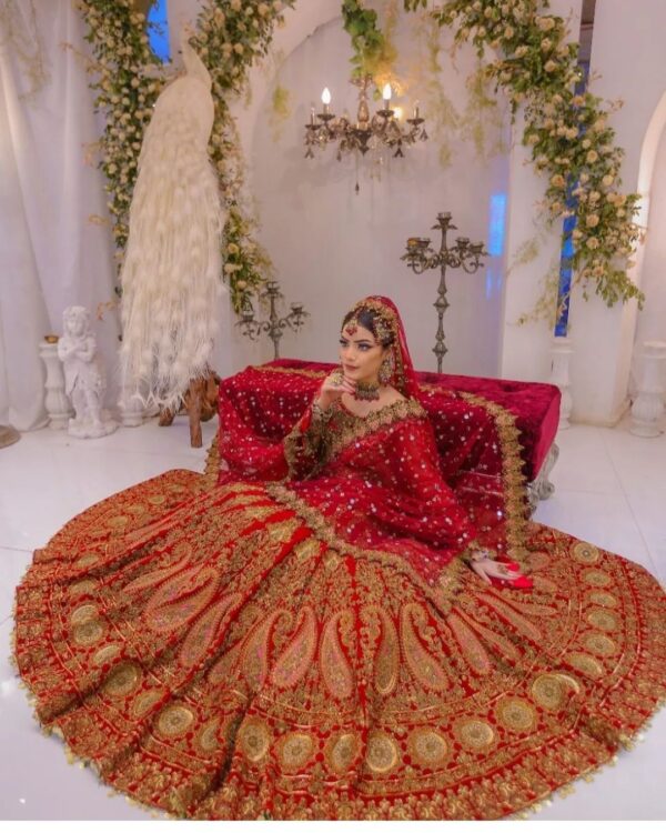 red bridal lehenga with crop top