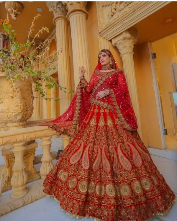 wedding red bridal lehenga with crop top