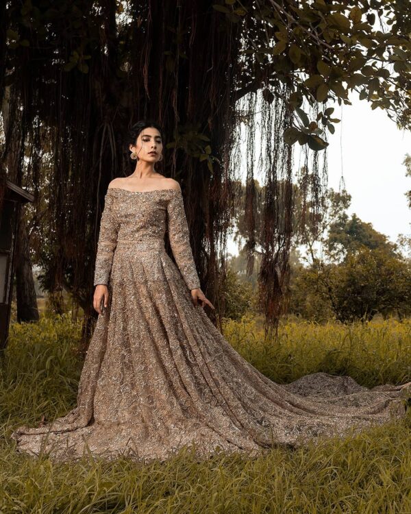 long trail wedding gown