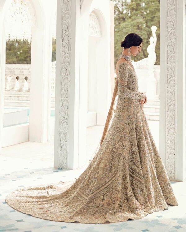 Ivory long trail gown with embroidery