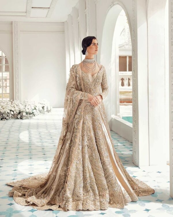 wedding long trail bridal gown with embroidery