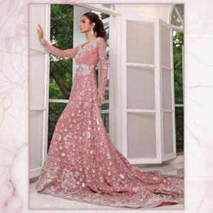 light peach color wedding gown with silver embroidery