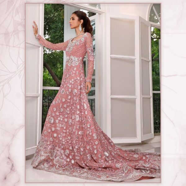 light peach color wedding gown with silver embroidery