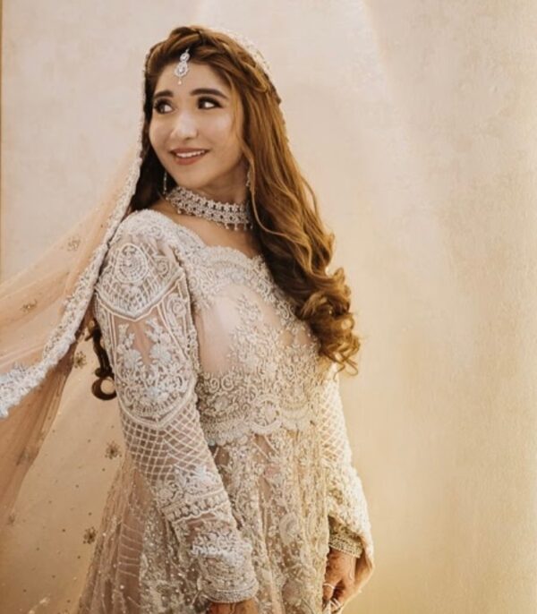 wedding long trail bridal gown