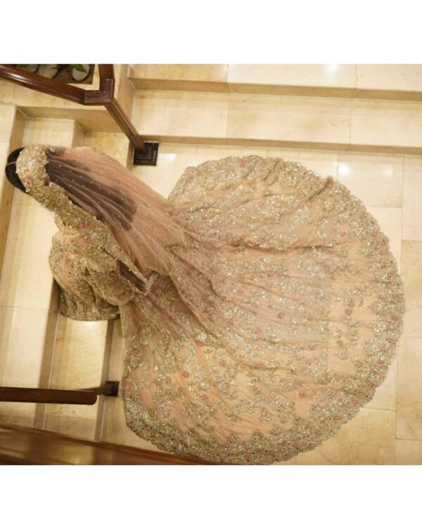 wedding long trail bridal gown with hand work