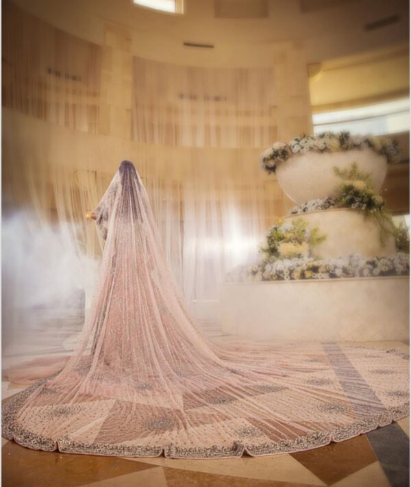 wedding long trail gown with embroidery