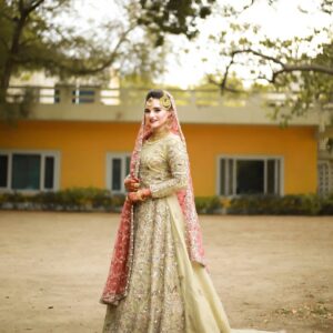wedding long trail gown with handwork