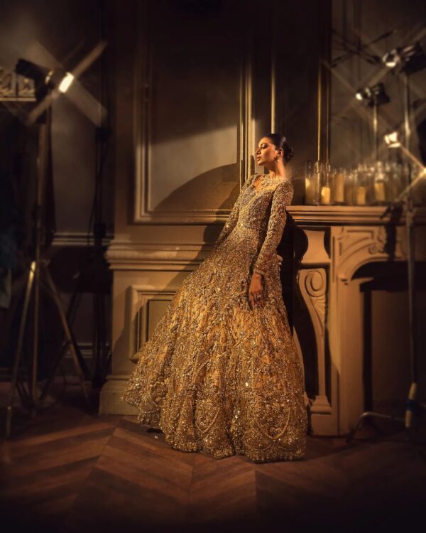 wedding long trail gown with handwork