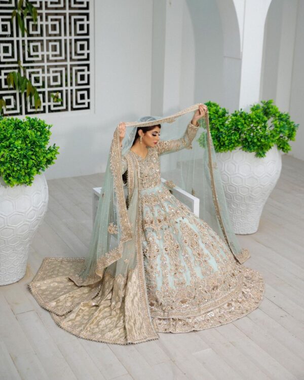 wedding long anarkali with handwork