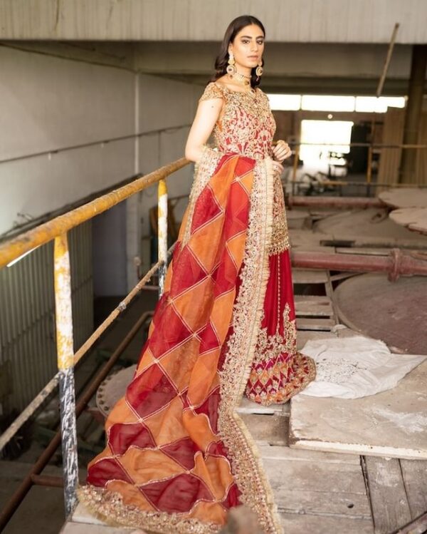 designer sharara for partywear