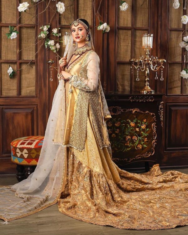 wedding long trail lehenga with krti