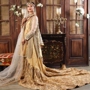 Pakistani long trail lehenga with embroidered kurti