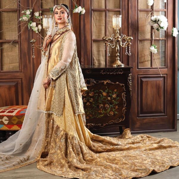 Pakistani long trail lehenga with embroidered kurti