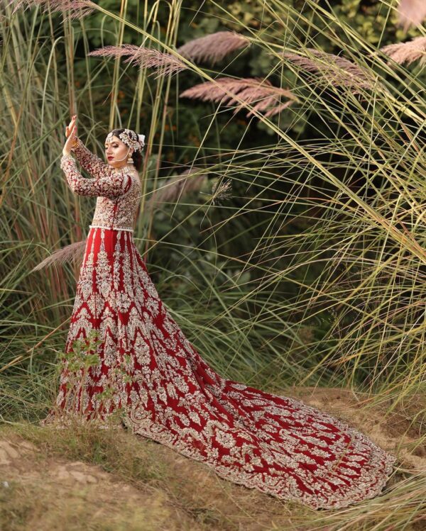 wedding long trail gown with embroidery