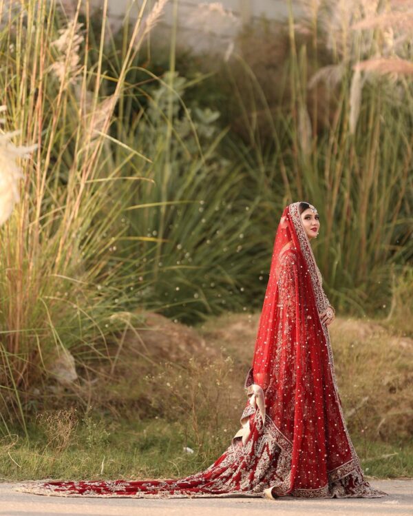wedding long trail gown with embroidery