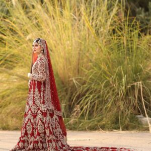 Red bridal long trail gown with embroidery