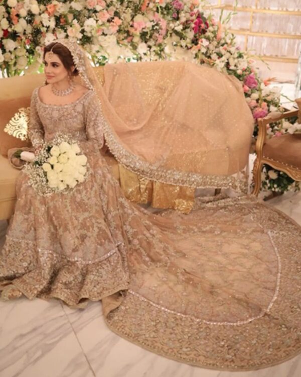 Designer long trail gown with embroidery