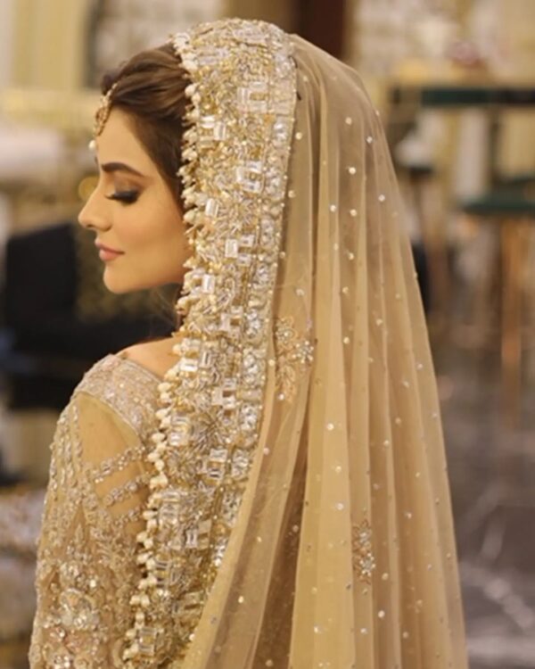 Pakistani wedding long trial gown with embroidery