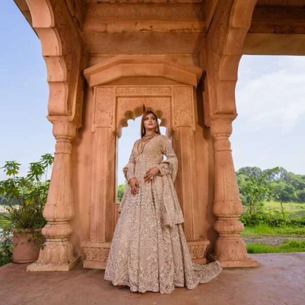 wedding waleema gown with trail