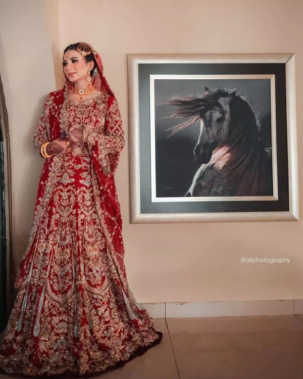 red wedding anarkali with embroidery
