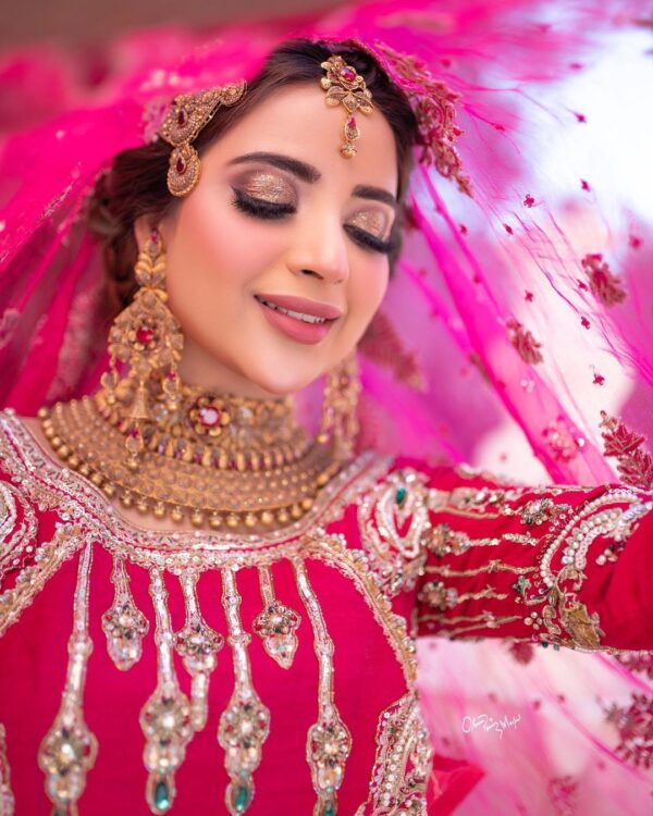 designer lehenga choli with embroidery