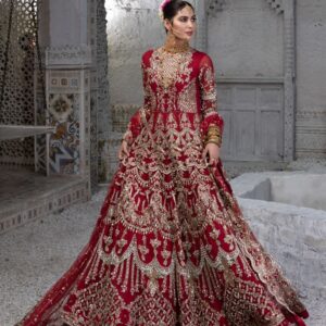Partywear gown with embroidery