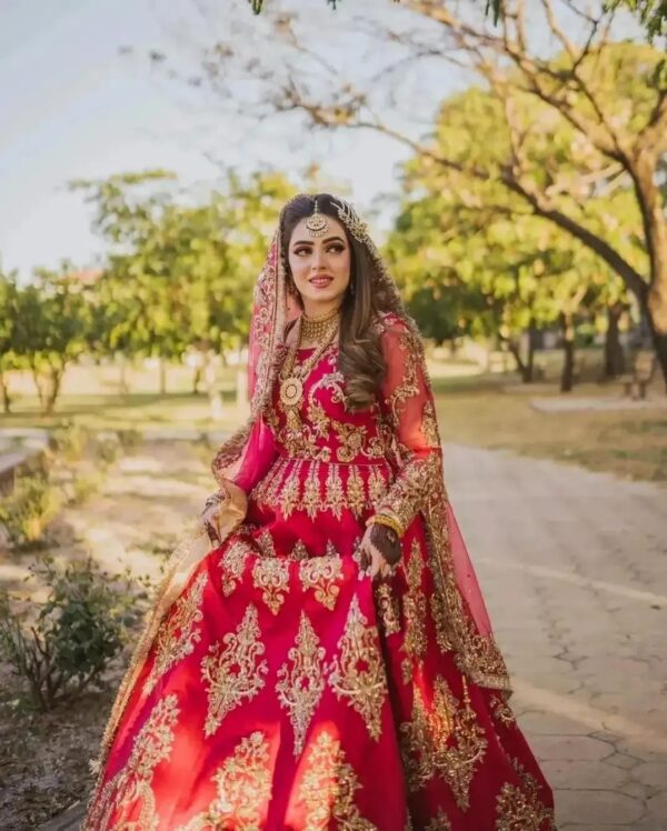 Designer long anarkali with embroidery