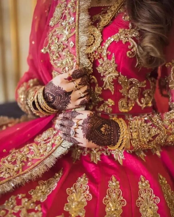 Pakistani bridal anarkali with embroidery