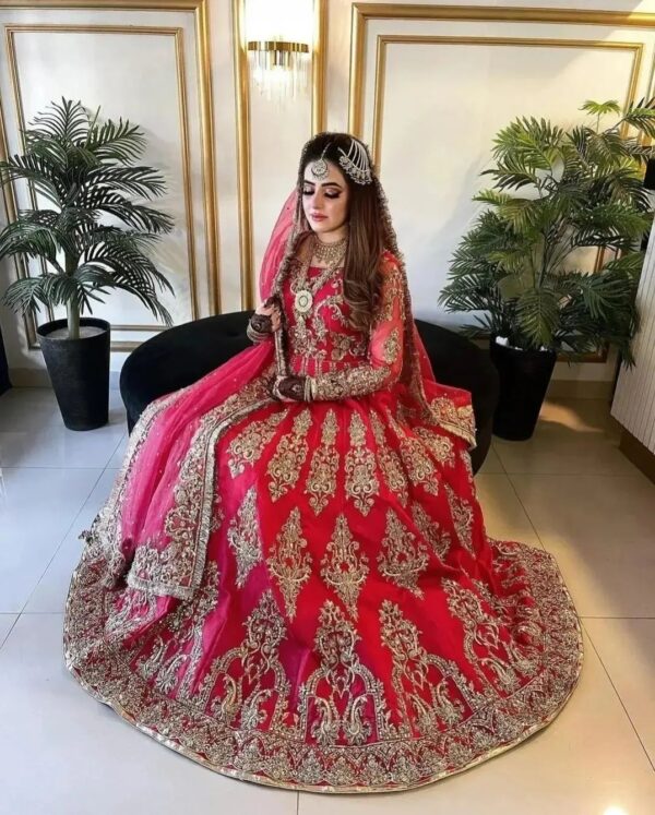Pakistani wedding waleema anrkali