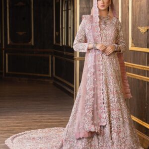 wedding waleema long trail gown with handwork