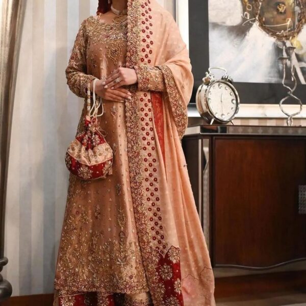 Pakistani wedding leehnga
