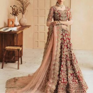 Red bridal lehenga choli with embroidery