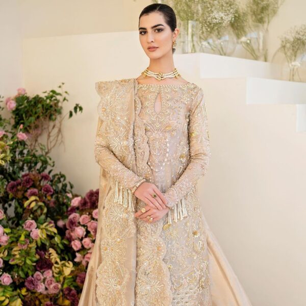 wedding lehenga with kameez