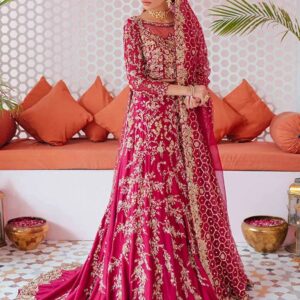 Pink Designer long trail walima gown with embroidery