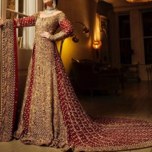 Pakistani bridal long trail gown with embroidery