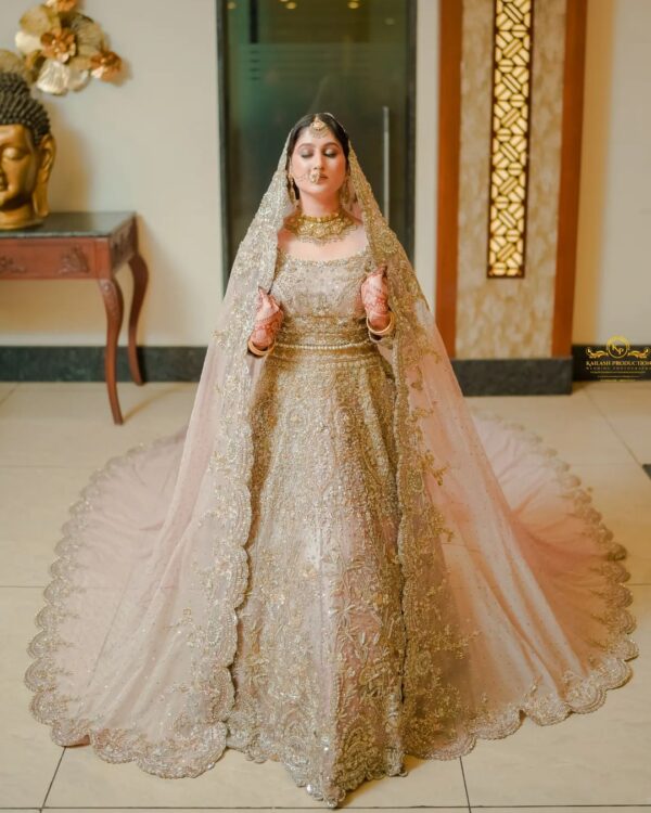 Pakistani wedding long trail gown with embroidery
