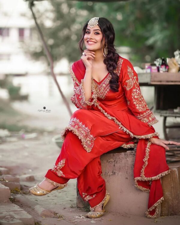 designer Partywear salwar kameez with embroidery