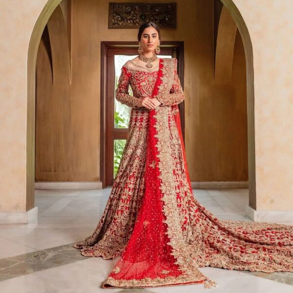 Pakistani wedding long trail gown with embroidery