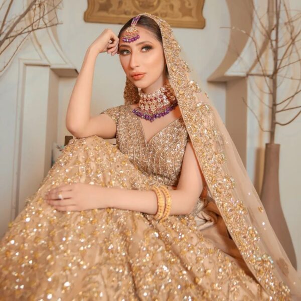Designer wedding long Trail lehenga with embroidery