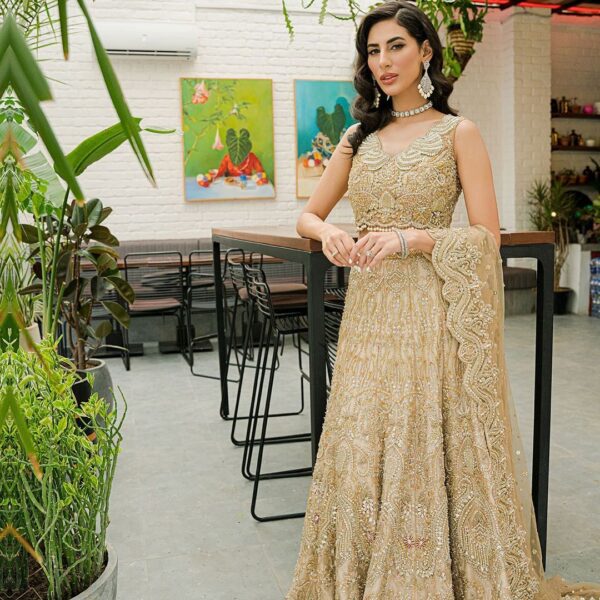Embroidered wedding lehenga choli with embroidery