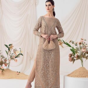 brown embroidered long kameez with pant