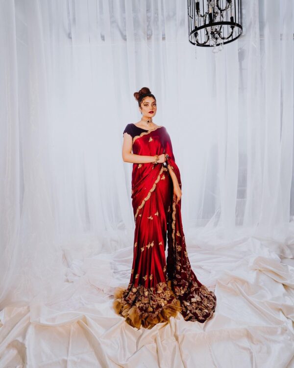 Designer Partywear saree with embroidery