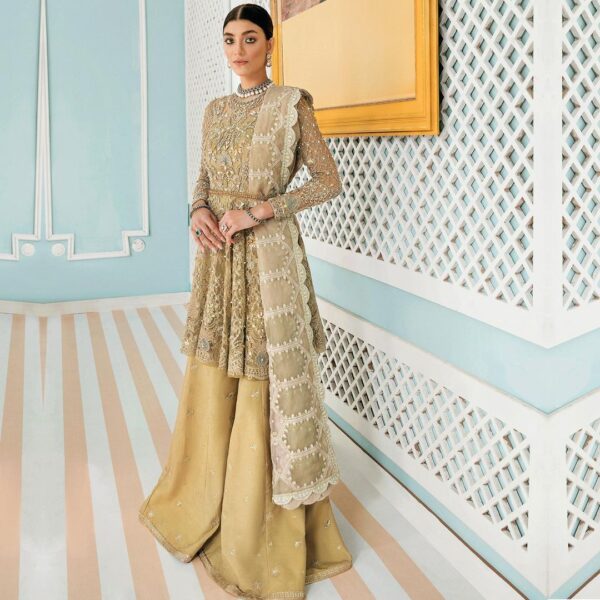 Designer peplum with sharara with embroidery