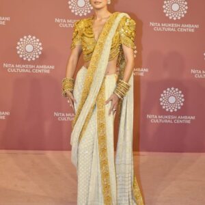 Designer saree with golden embroidery