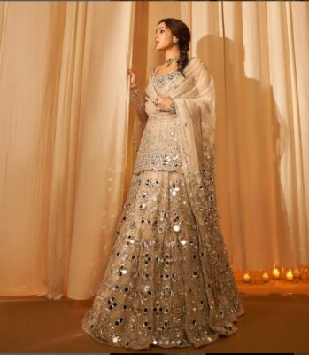 Lehenga with Mirror Work Lehenga with Mirror Work