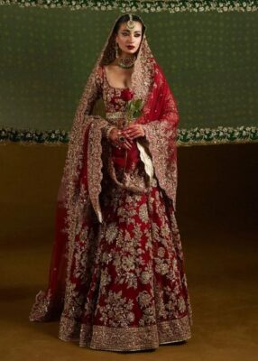 Red Bridal Sarees Red Bridal Sarees
