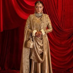 Long anarkali