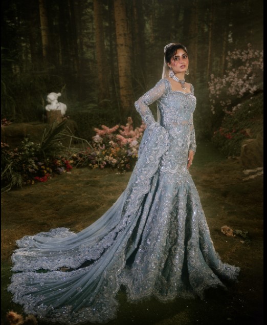 mermaid bridal gown
Pakistani Indian wedding dress 2025