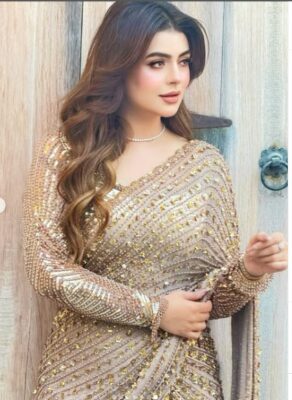 Golden Sequin Saree Golden Sequin Saree